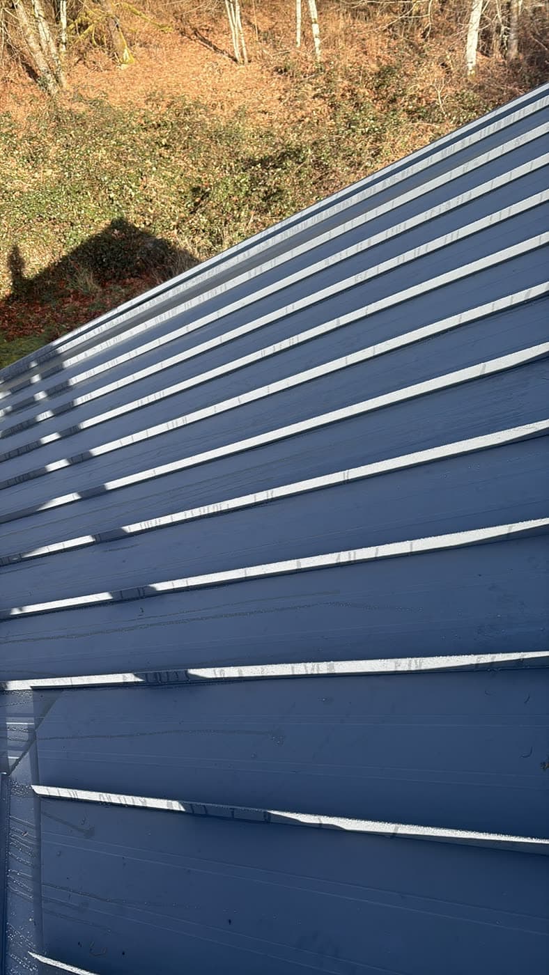 Volkers roofing project 2