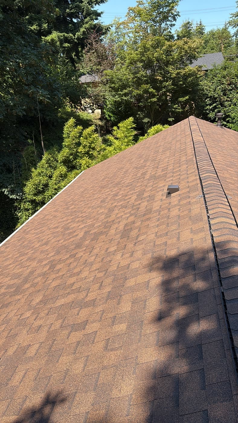 Volkers roofing project 30